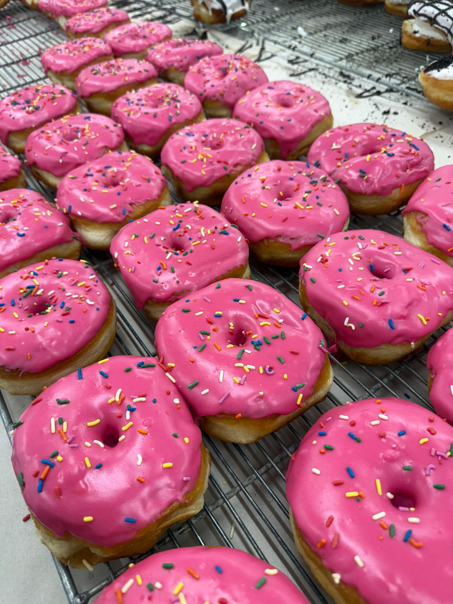 Box of 6 Homer Ring Donuts (Vegan)
