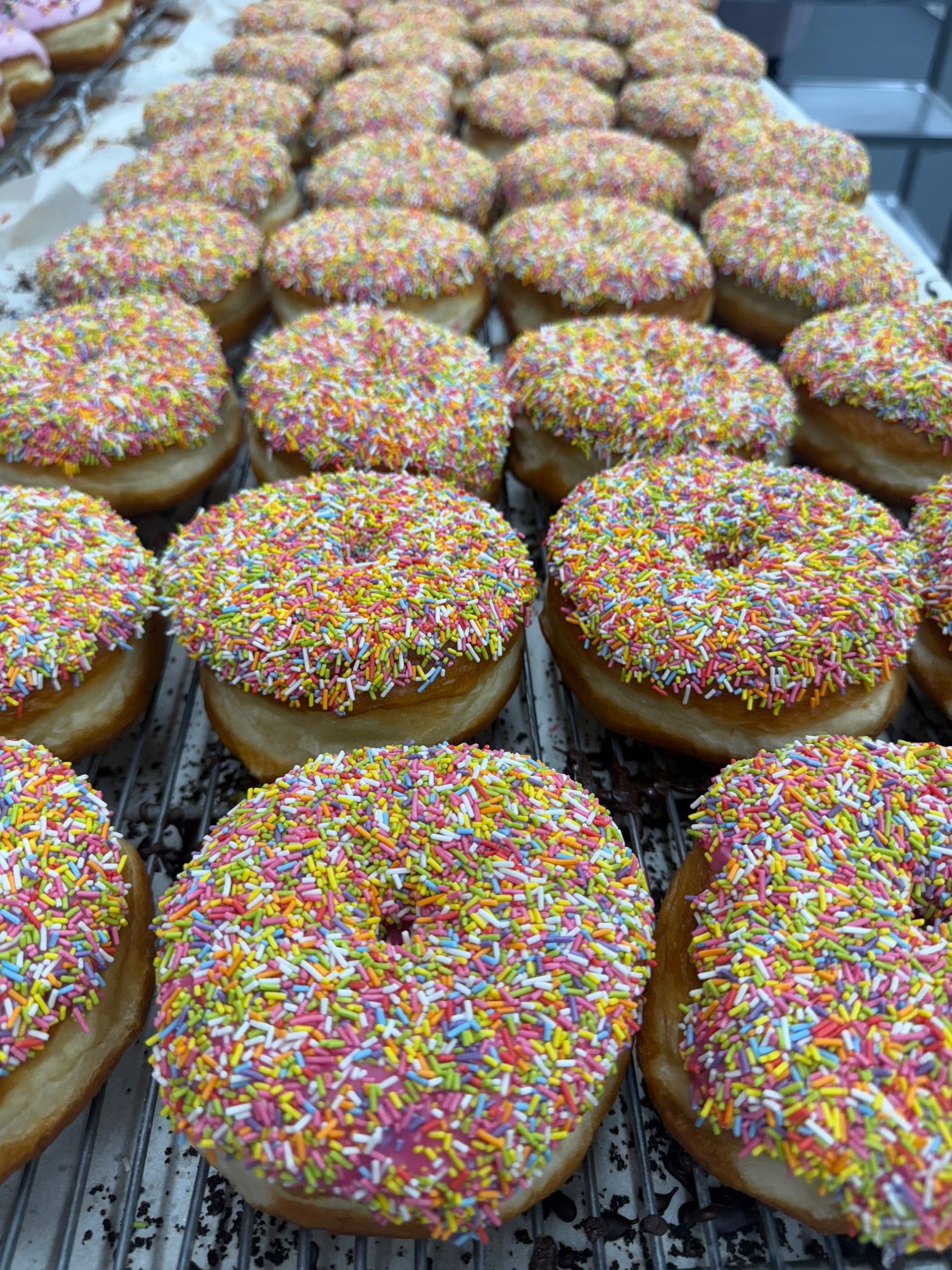 Box of 6 Sprinkles Ring Donuts (Vegan)