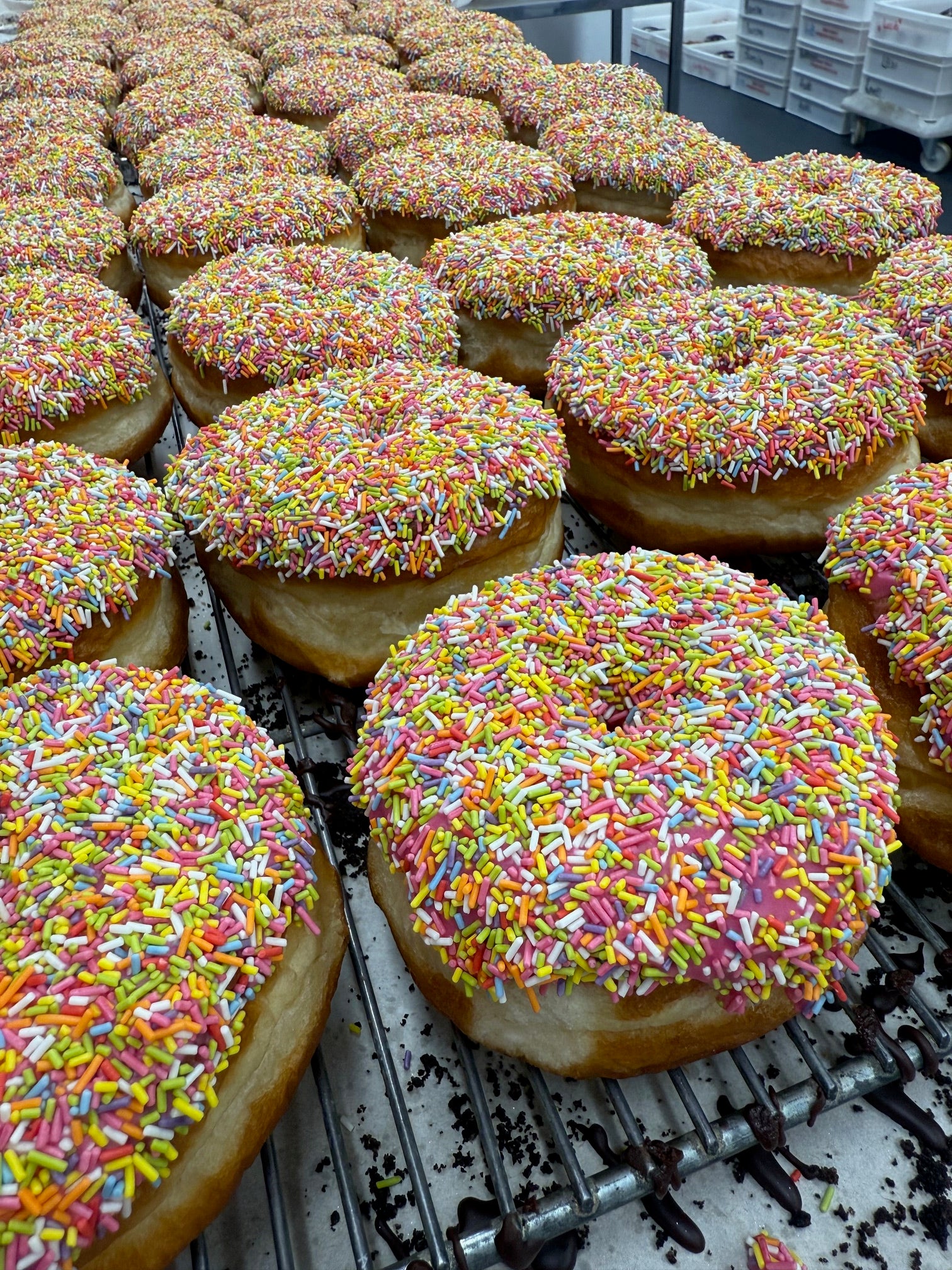 Sprinkles Ring Donut (Vegan)